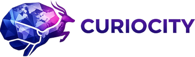 curiocity.co.ke